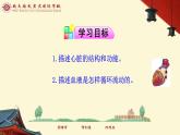 （人教七下）4.4.3 输送血液的泵-心脏 © 慢慢 课件