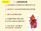 （人教七下）4.4.3 输送血液的泵-心脏 © 慢慢 课件