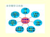 （人教七下）4.1.1 人类的起源和发展 课件
