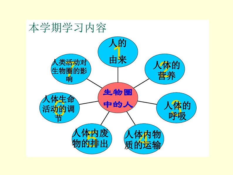 （人教七下）4.1.1 人类的起源和发展第1页