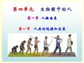 （人教七下）4.1.1 人类的起源和发展 课件