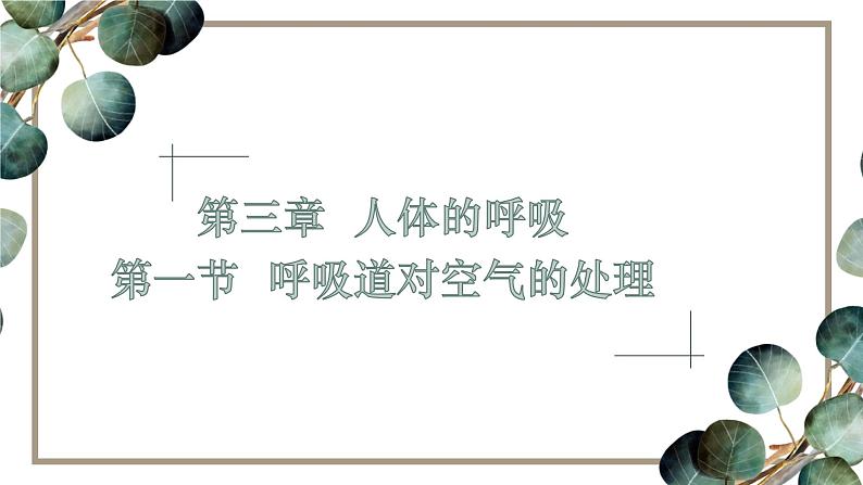 （人教七下）4.3.1 呼吸道对空气的处理第3页