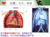 （人教七下）4.4.3 输送血液的泵──心脏 课件