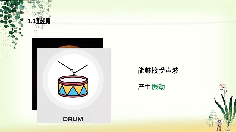 （人教七下）4.6.1 人体对外界环境的感知—耳朵和听觉 课件03