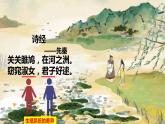 （人教七下）4.1.2 人的生殖 1 课件