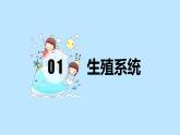 （人教七下）4.1.2 人的生殖 1 课件