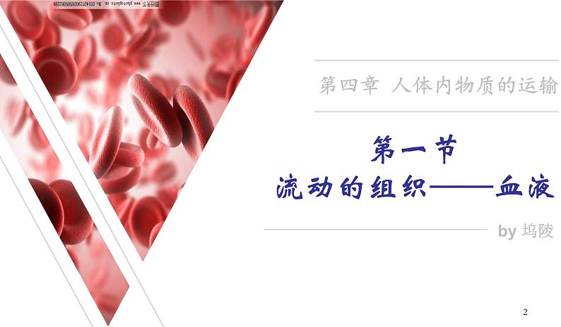 （人教七下）4.4.1 流动的组织——血液第2页