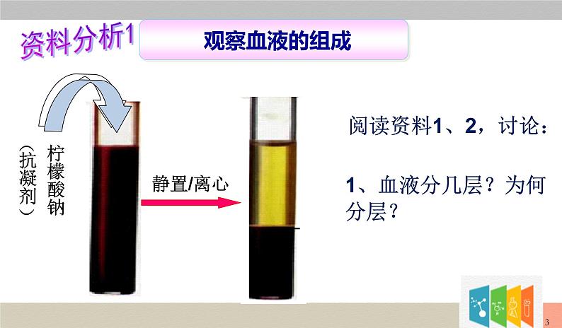 （人教七下）4.4.1 流动的组织——血液第3页