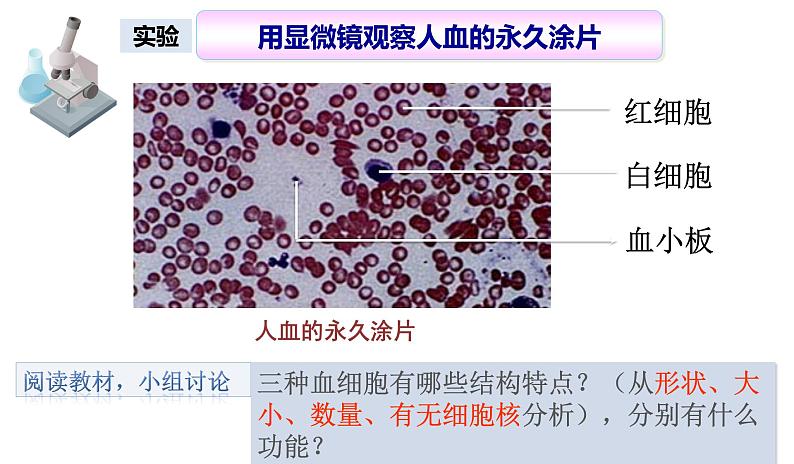 （人教七下）4.4.1 流动的组织——血液第8页