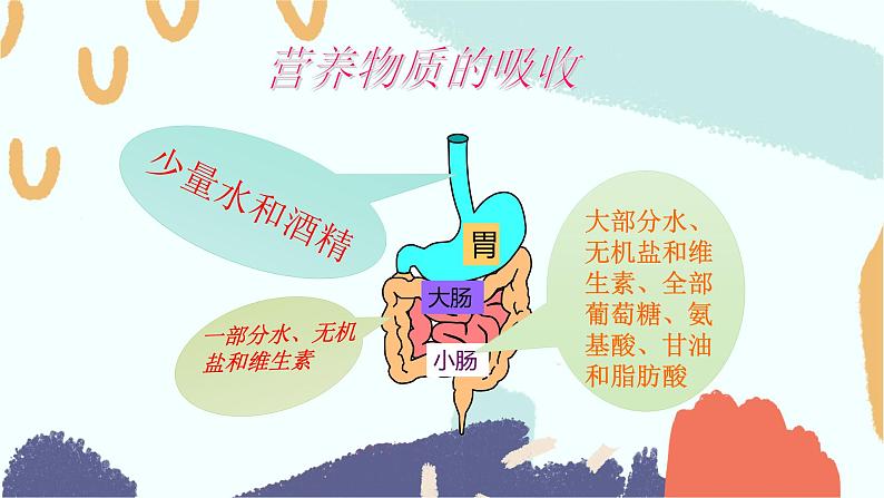 （人教七下）4.2.2 消化和吸收（第二课时）第6页