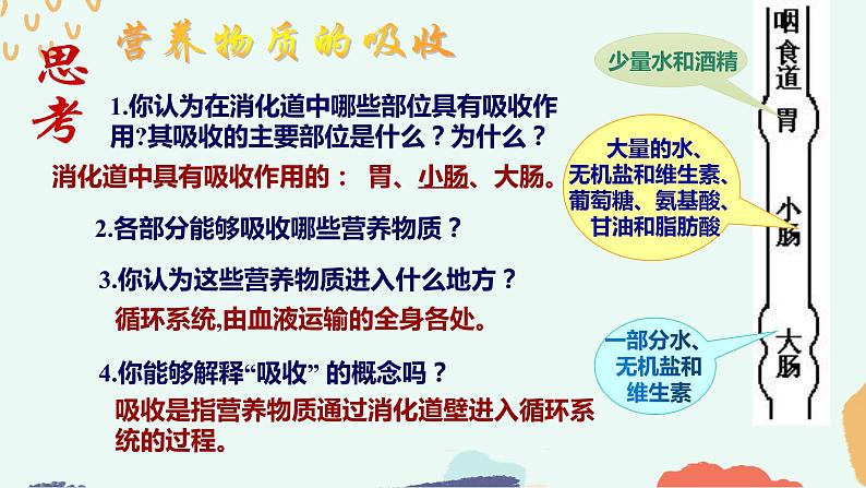 （人教七下）4.2.2 消化和吸收（第二课时）第7页