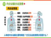 （人教七下）4.6.4 激素调节 课件