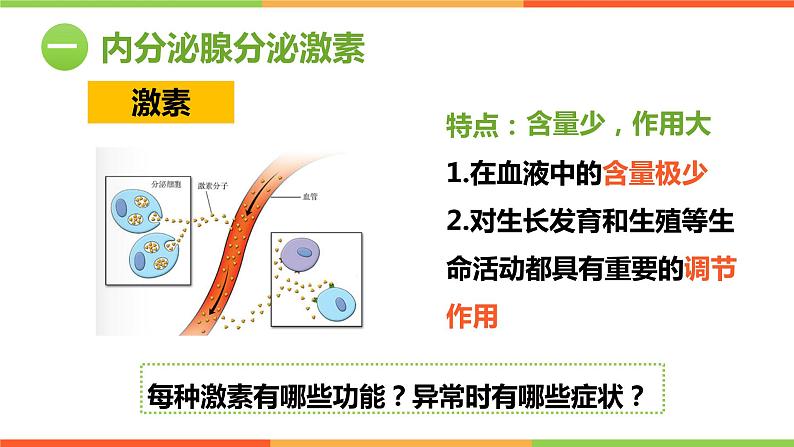 （人教七下）4.6.4 激素调节 课件06