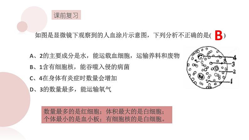 （人教七下）4.4.2 血流的管道--血管 课件02