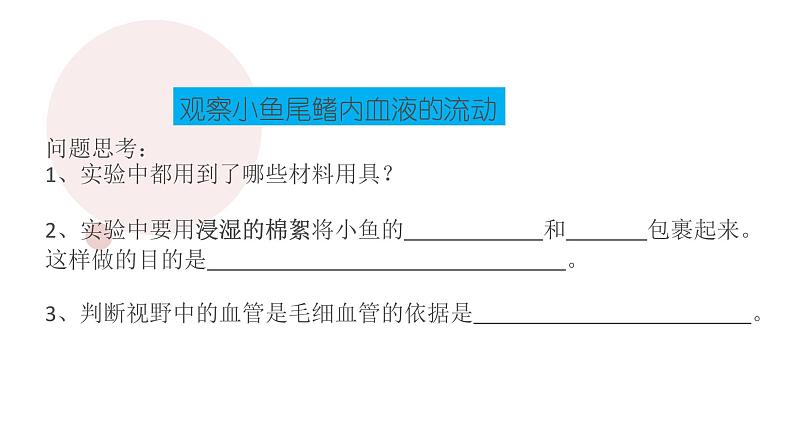 （人教七下）4.4.2 血流的管道--血管 课件03