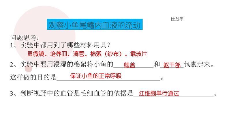 （人教七下）4.4.2 血流的管道--血管 课件05