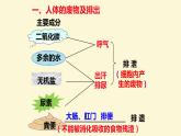 （人教七下）4.5.1 人体内废物的排出 课件