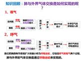 （人教七下）4.3.2 发生在肺内的气体交换（第二课时） 课件