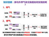 初中生物人教版 (新课标)七年级下册第二节 发生在肺内的气体交换教案配套ppt课件