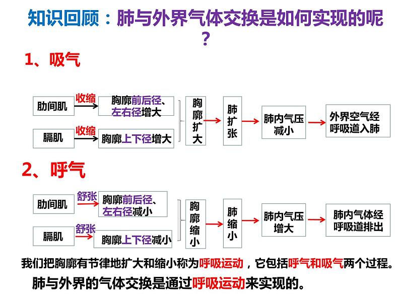 （人教七下）4.3.2 发生在肺内的气体交换（第二课时）第1页