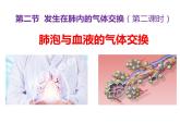（人教七下）4.3.2 发生在肺内的气体交换（第二课时） 课件