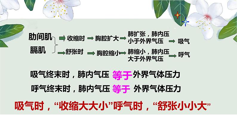 （人教七下）4.3.2 发生在肺内的气体交换（第二课时） 课件02