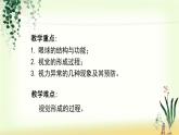 （人教七下）4.6.1 人体对外界环境的感知—眼睛和视觉 课件
