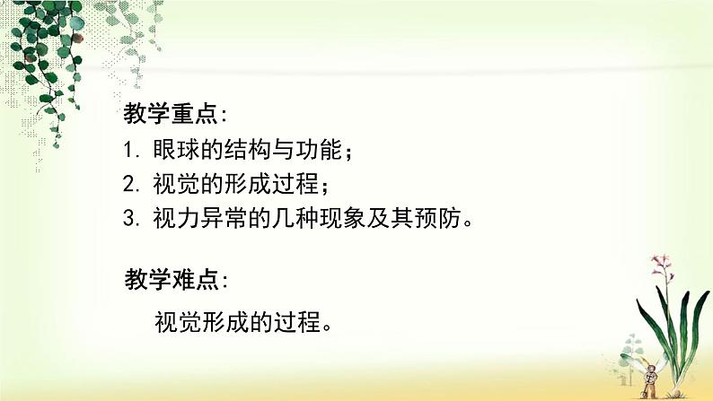 （人教七下）4.6.1 人体对外界环境的感知—眼睛和视觉 课件04