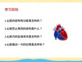 （人教七下）4.4.3 输送血液的泵—心脏 第1课时 课件