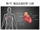 （人教七下）4.4.3 输送血液的泵—心脏 第1课时 课件