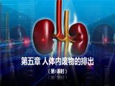 （人教七下）4.5.1 人体内废物的排出  第1课时 课件