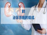 （人教七下）4.5.1 人体内废物的排出  第1课时 课件