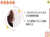 （人教七下）4.1.2 人的生殖 课件