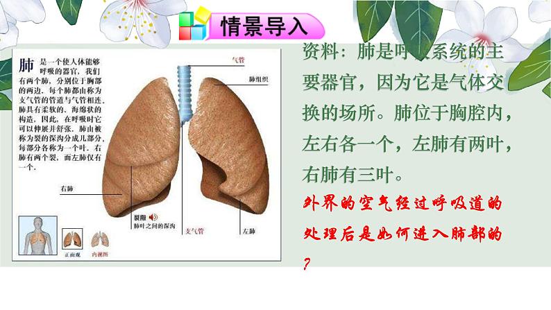 （人教七下）4.3.2 发生在肺内的气体交换（第一课时） 课件03