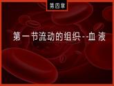 （人教七下）4.4.1 流动的组织——血液 课件