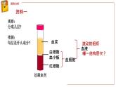 （人教七下）4.4.1 流动的组织——血液 课件