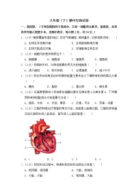 2020-2021学年八年级下学期生物期中考试试题（人教版）（word版 含答案） (2)