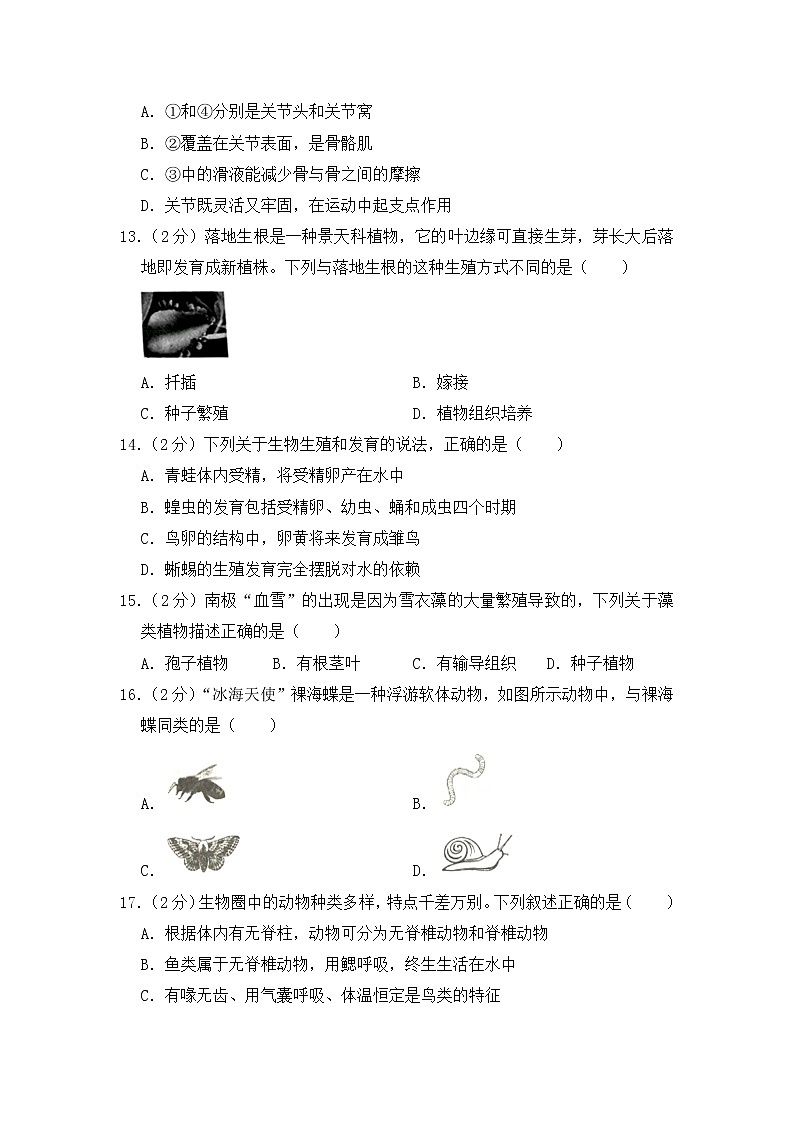 2020-2021学年八年级下学期生物期中考试试题（人教版）（word版 含答案） (2)03