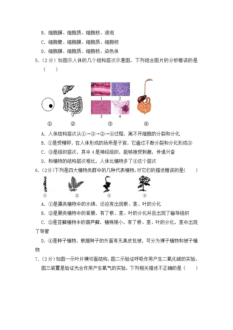 2020-2021学年八年级下学期生物期中考试试题（人教版）（word版 含答案）02