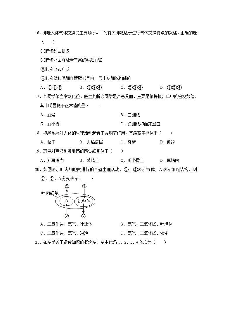 2021年福建省中考生物模拟试卷 （word版 含答案）03