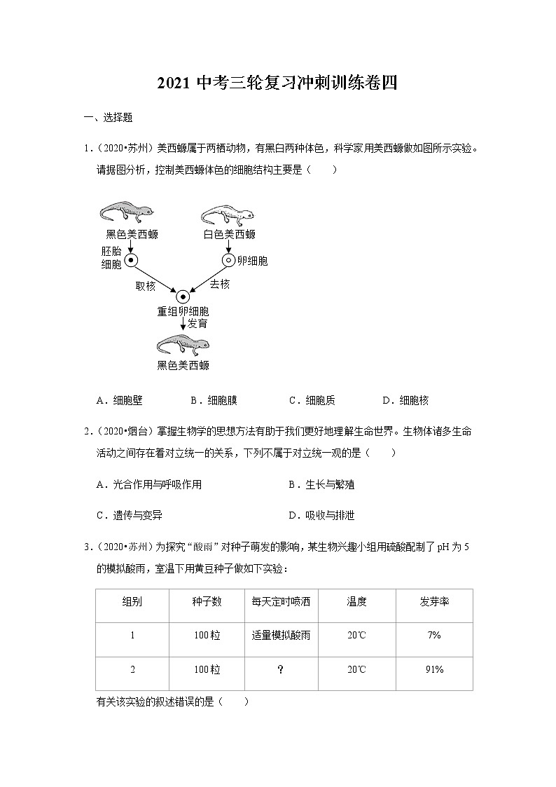 2021年山东省泰安市生物中考三轮复习冲刺训练卷四（word版 含答案）01