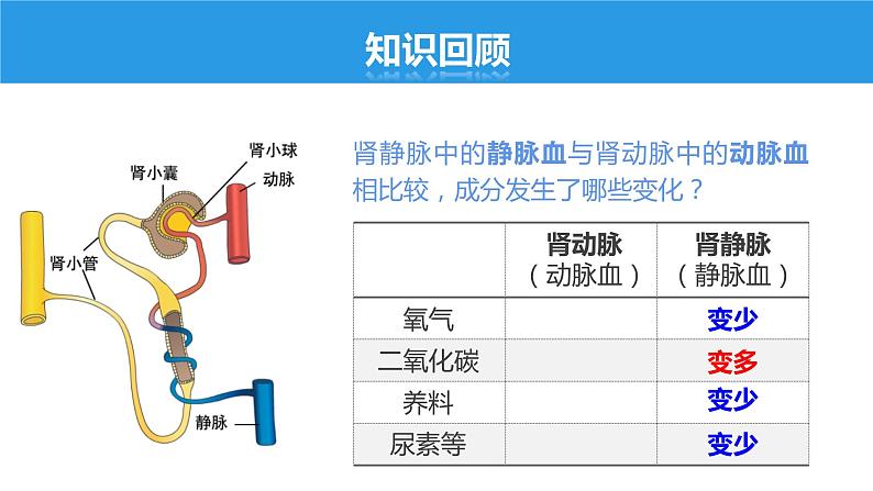 4.5.1 人体内废物的排出课件第4页