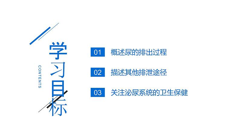 4.5.1 人体内废物的排出课件第5页