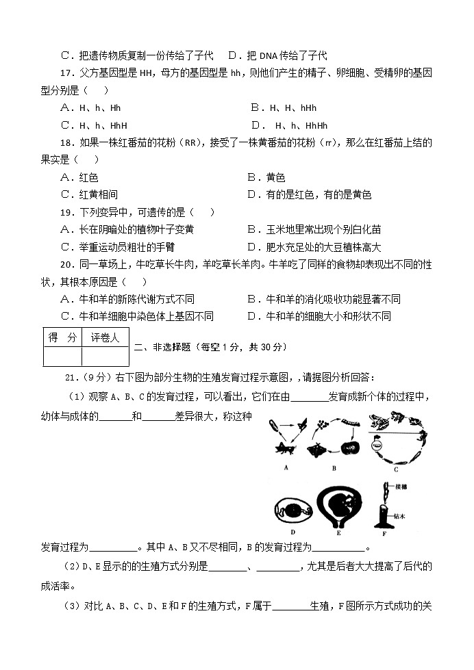 河南省南阳市淅川县2020-2021学年八年级下学期期中质量评估生物试题（word版  含答案）03