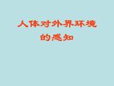 2020—2021学年人教版生物七年级下册4.6.1人体对外界环境的感知 课件（31张PPT）