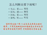 2020—2021学年人教版生物七年级下册4.6.1人体对外界环境的感知 课件（31张PPT）