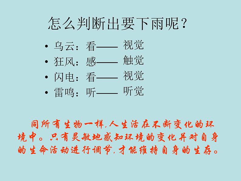 2020—2021学年人教版生物七年级下册4.6.1人体对外界环境的感知 课件（31张PPT）03