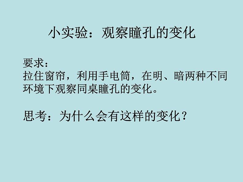 2020—2021学年人教版生物七年级下册4.6.1人体对外界环境的感知 课件（31张PPT）08
