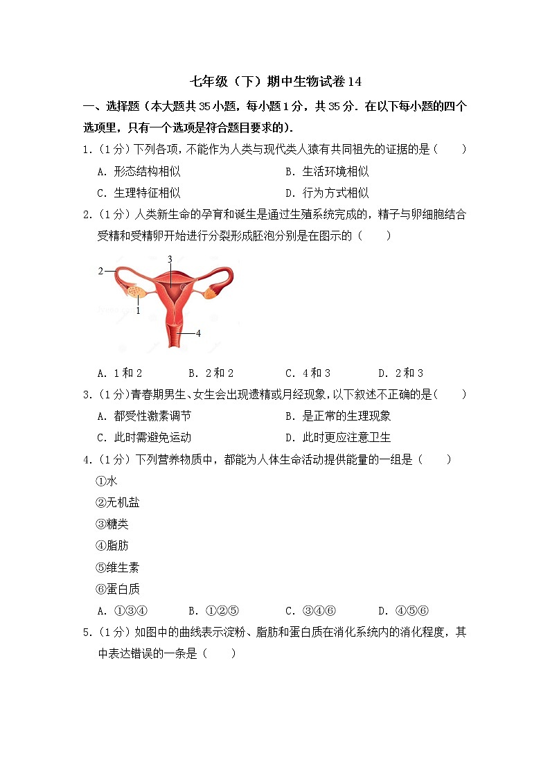 2020-2021学年七年级下学期生物期中考试试题（人教版） （word版 含答案） (6)01