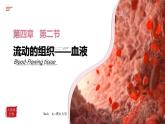 （人教七下）4.4.1 流动的组织——血液 by 唐山大兄 课件